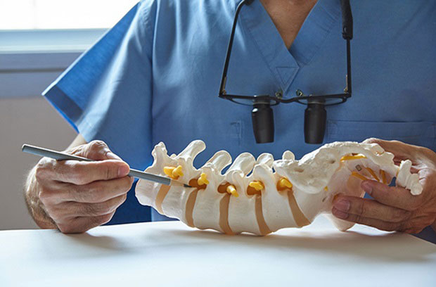 coluna vertebral | ACESSOMEDICO